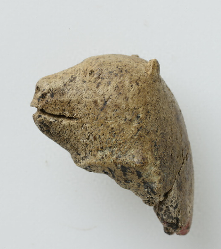 A small sculture of a bear head, which appears to have been broken off a body.
